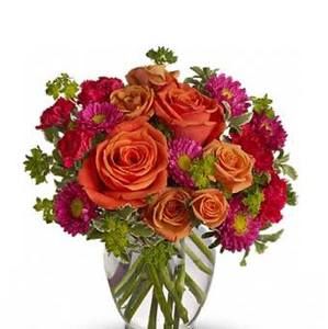 Meet your Posher, Leena